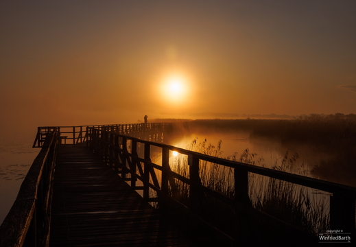 Sonnenaufgang Federseesteg